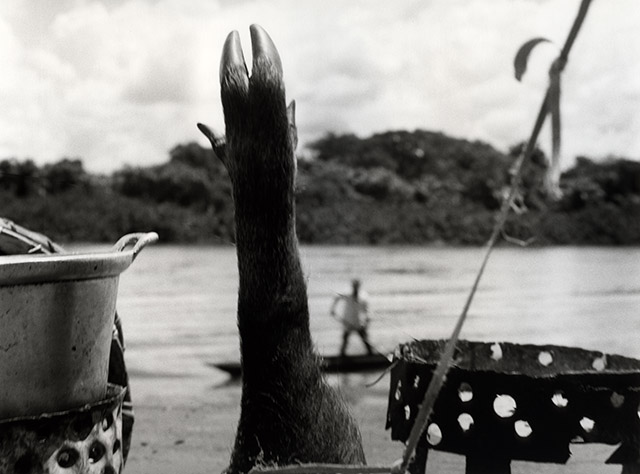 02Congo River